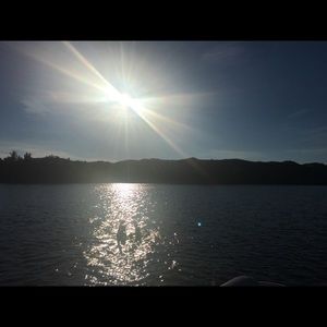 Meet your Posher, Molly